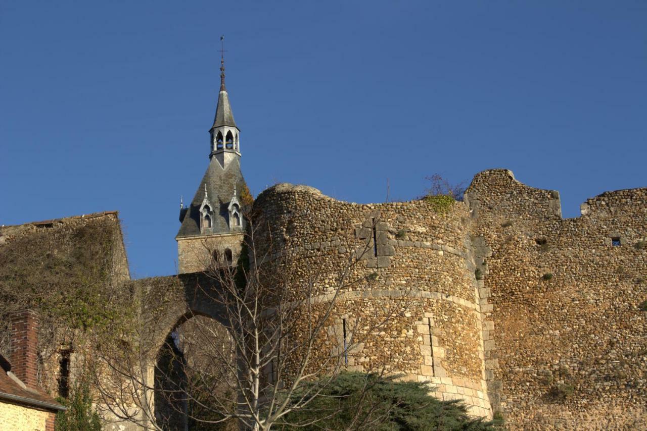 Gite "La Mesangerie" Villa Chateau-Renard Exterior photo